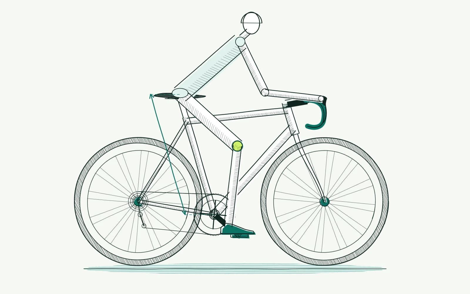 Fietsbeen tijdens de pedaalbeweging, met de knie gemarkeerd en een maatlijn tussen trapas en zadel.